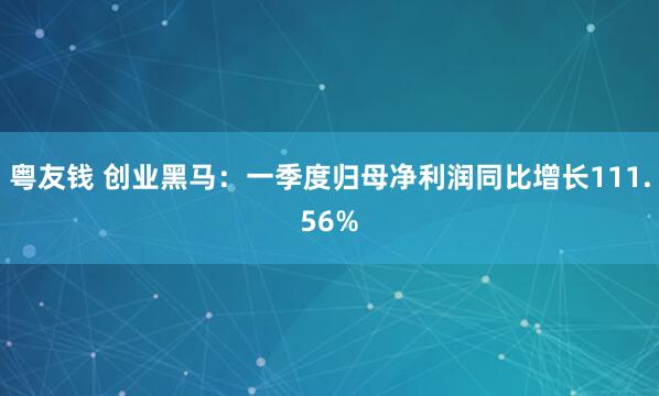 粤友钱 创业黑马：一季度归母净利润同比增长111.56%
