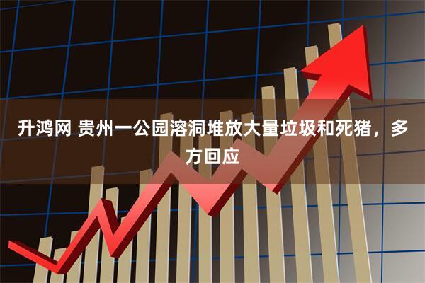 升鸿网 贵州一公园溶洞堆放大量垃圾和死猪，多方回应